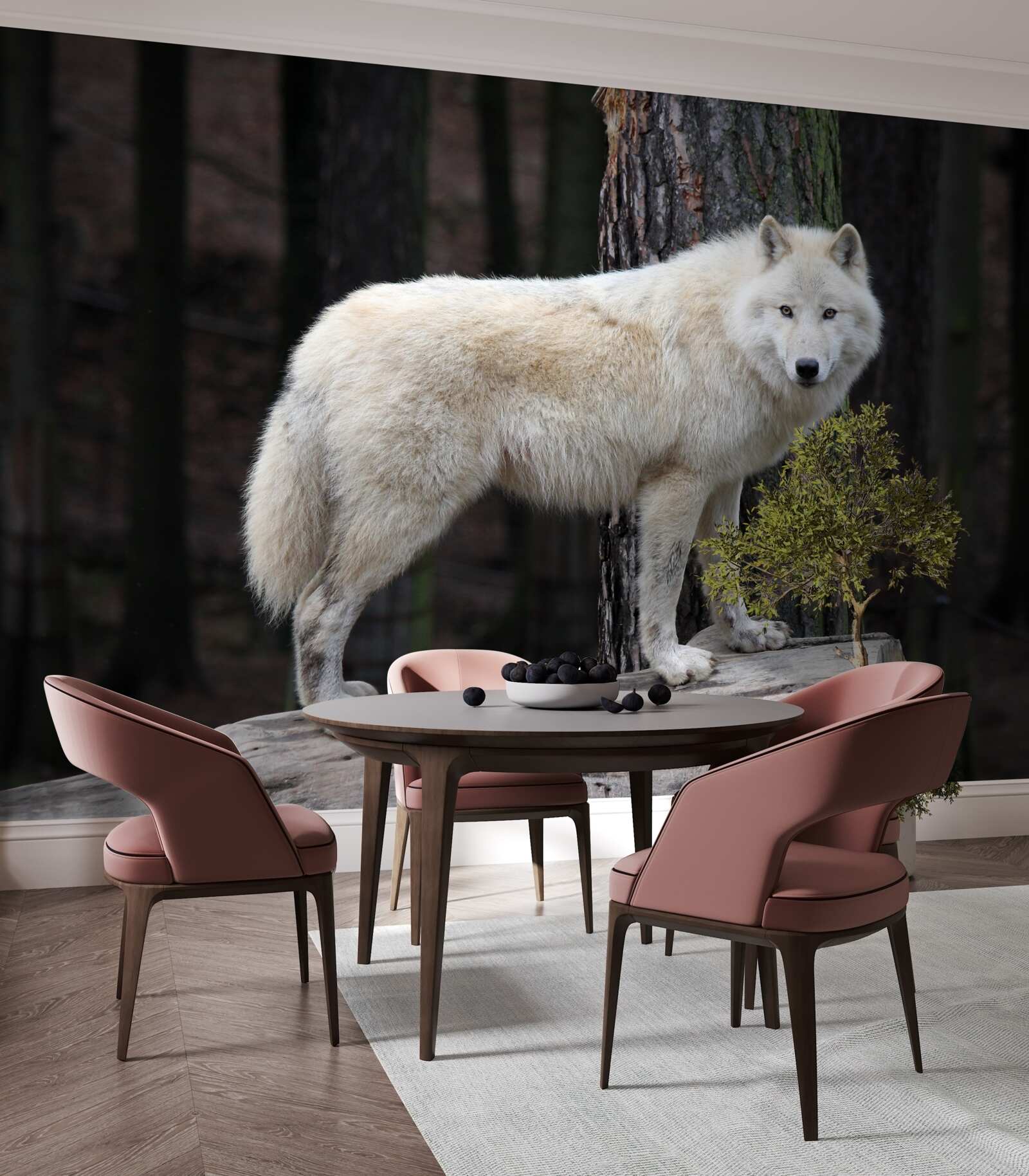 Fototapeta sivý vlk na drevenom polene