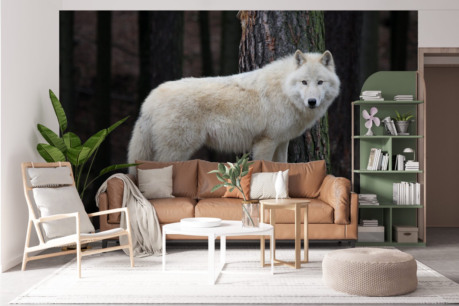 Fototapeta sivý vlk na drevenom polene