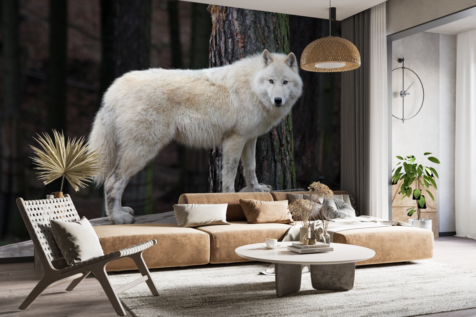 Fototapeta sivý vlk na drevenom polene
