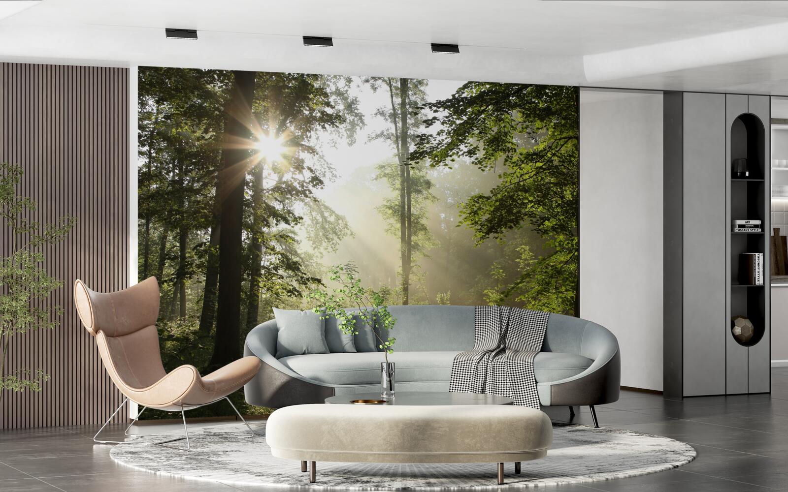 Fototapeta slnečné lúče odháňajú nočný chlad od stromov