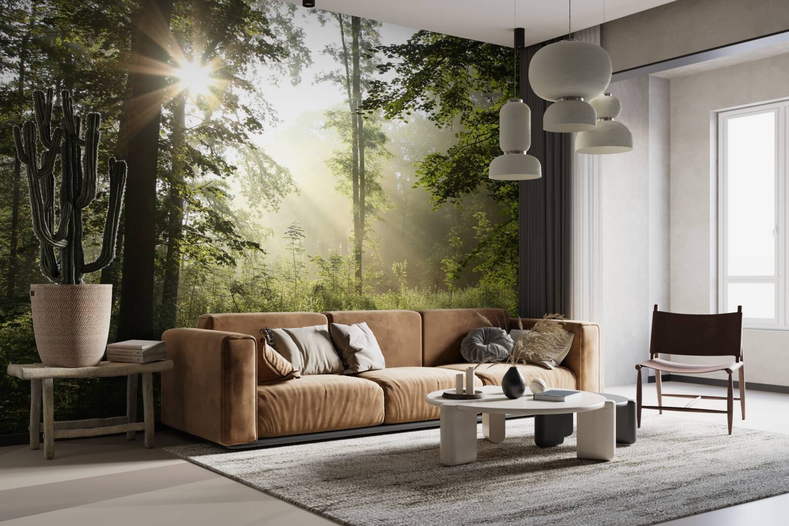 Fototapeta slnečné lúče odháňajú nočný chlad od stromov