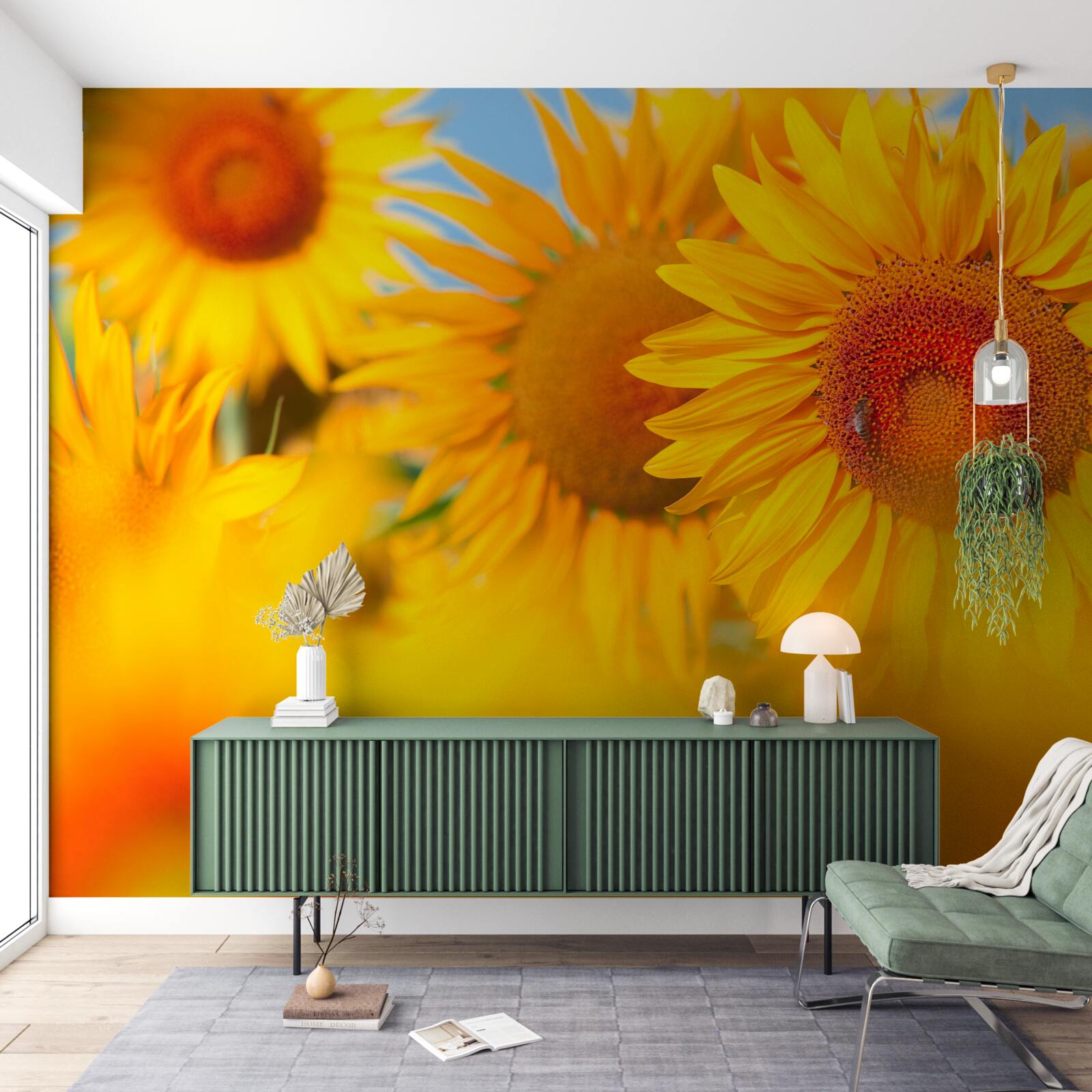 Fototapeta slnečnice pod slnkom