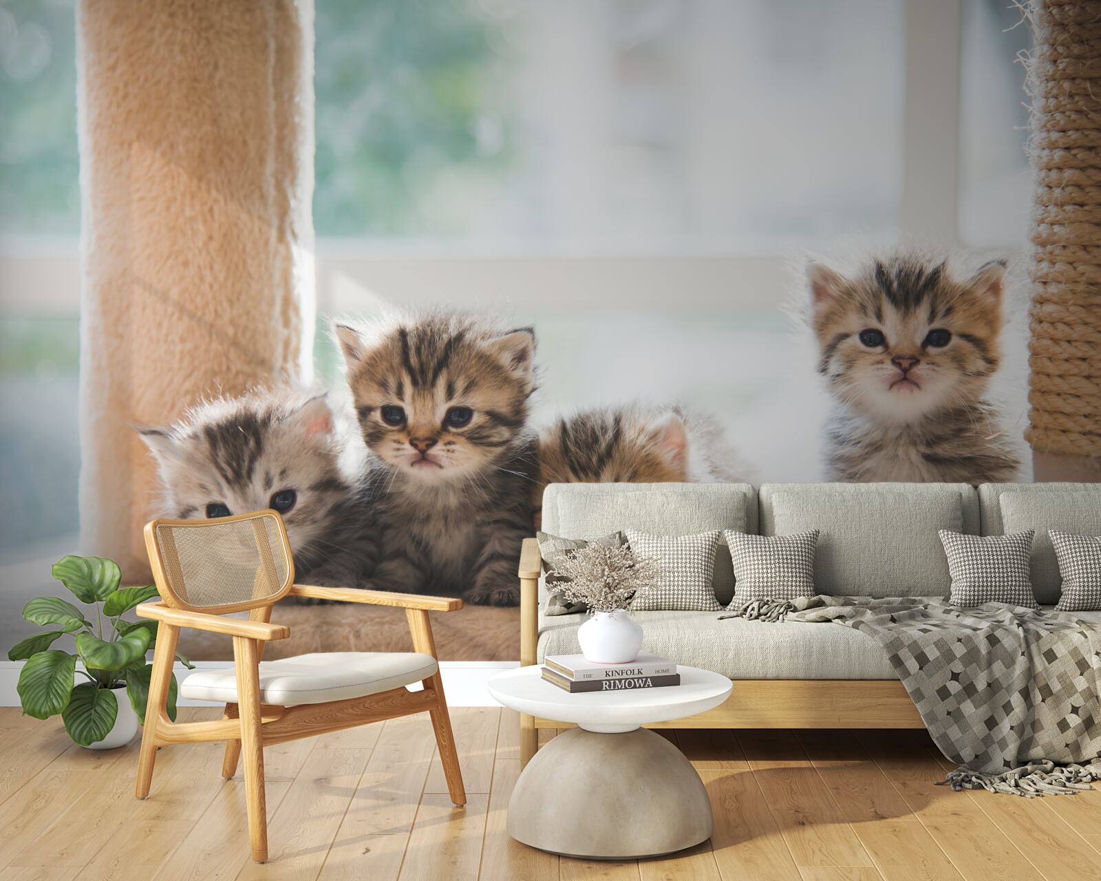 Fototapeta malé mačky hľadajú svoju matku