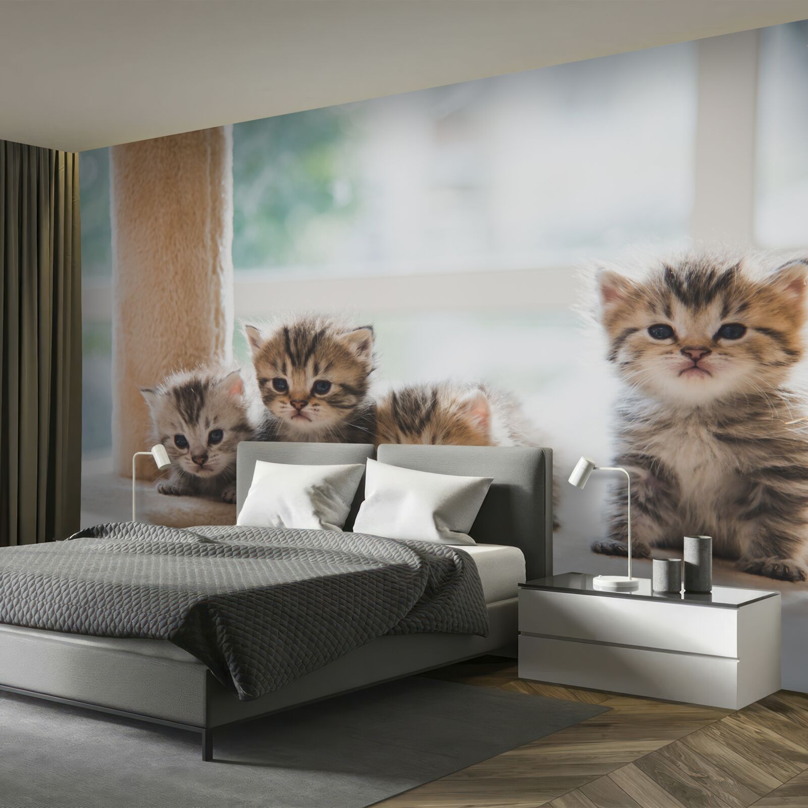 Fototapeta malé mačky hľadajú svoju matku