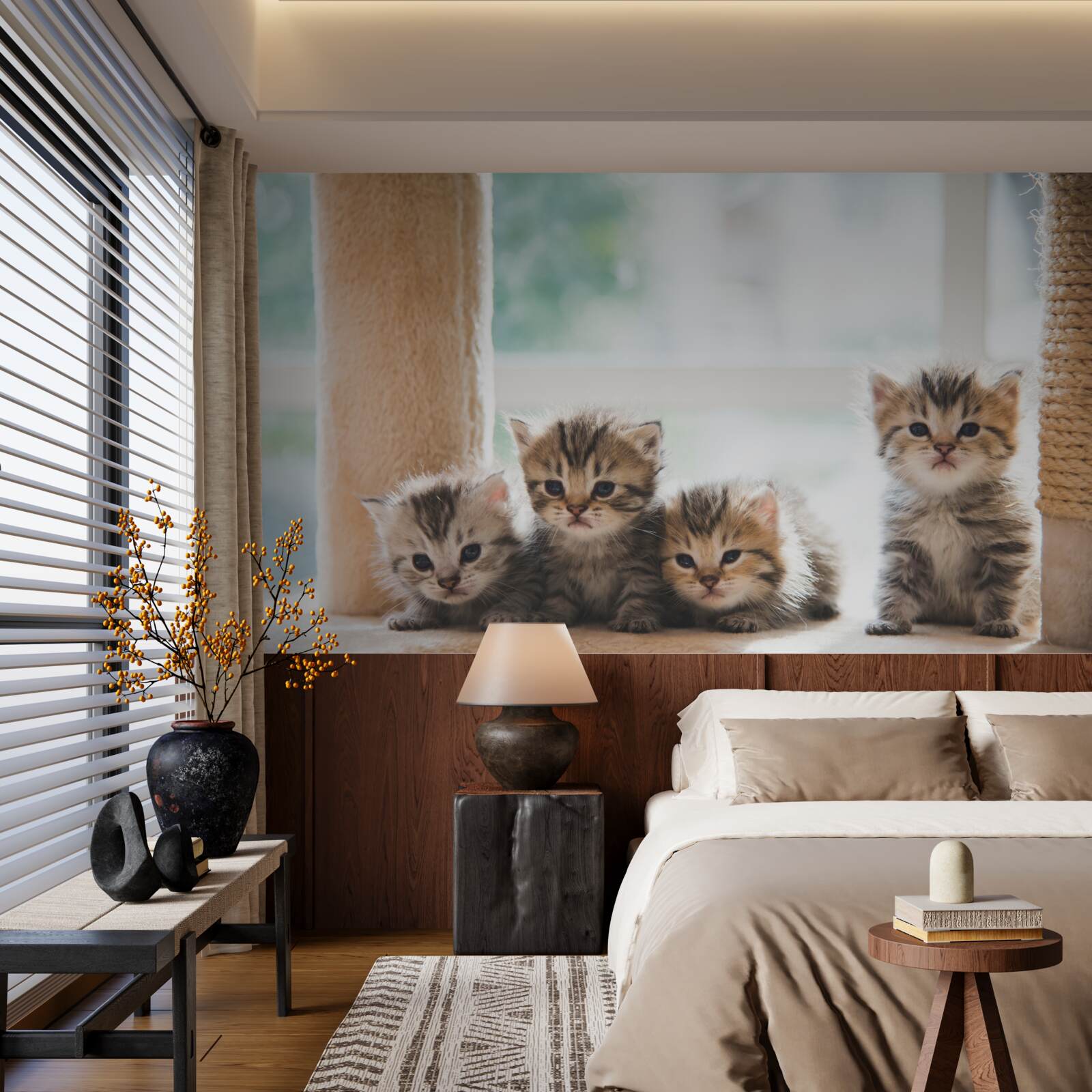 Fototapeta malé mačky hľadajú svoju matku