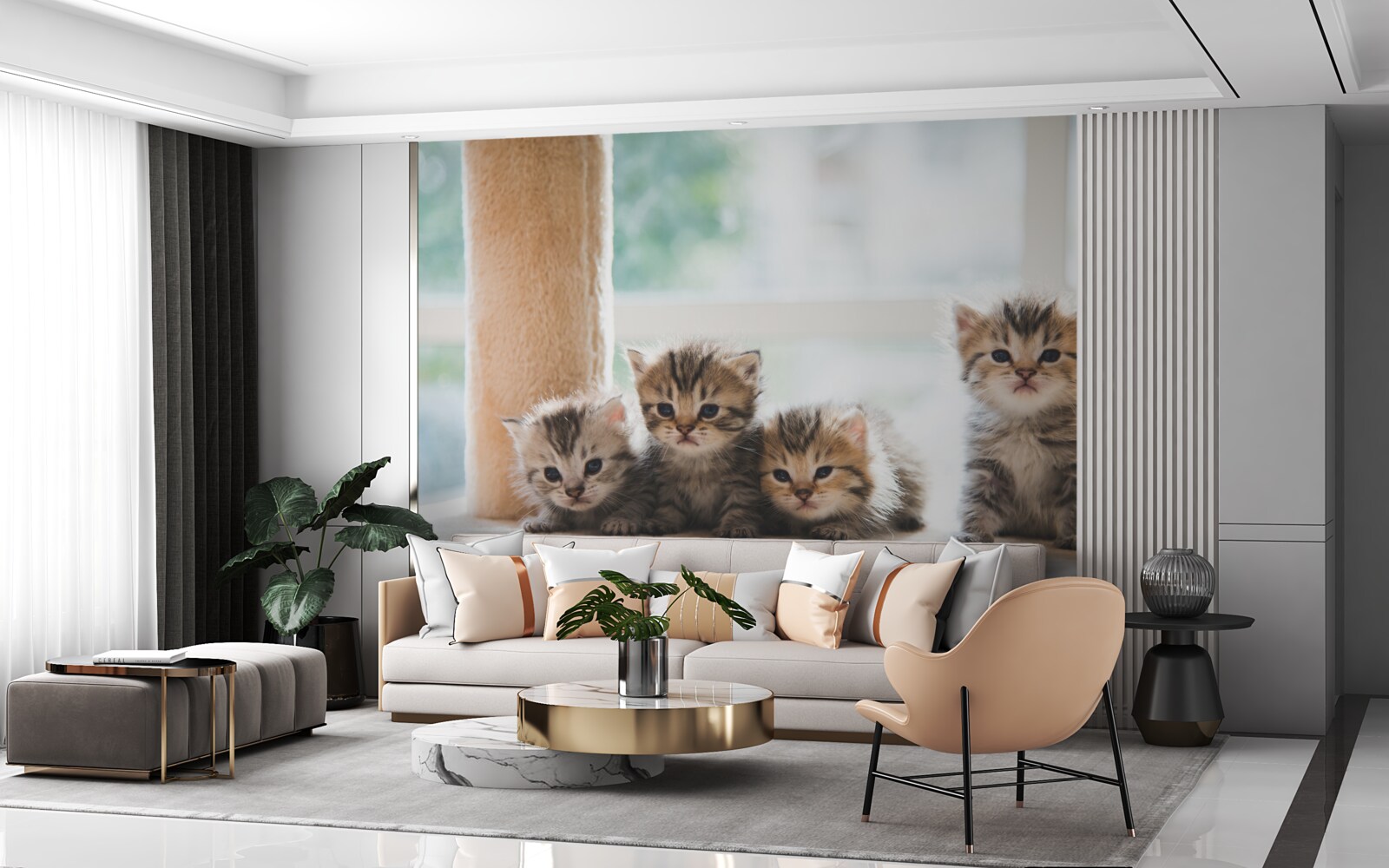 Fototapeta malé mačky hľadajú svoju matku