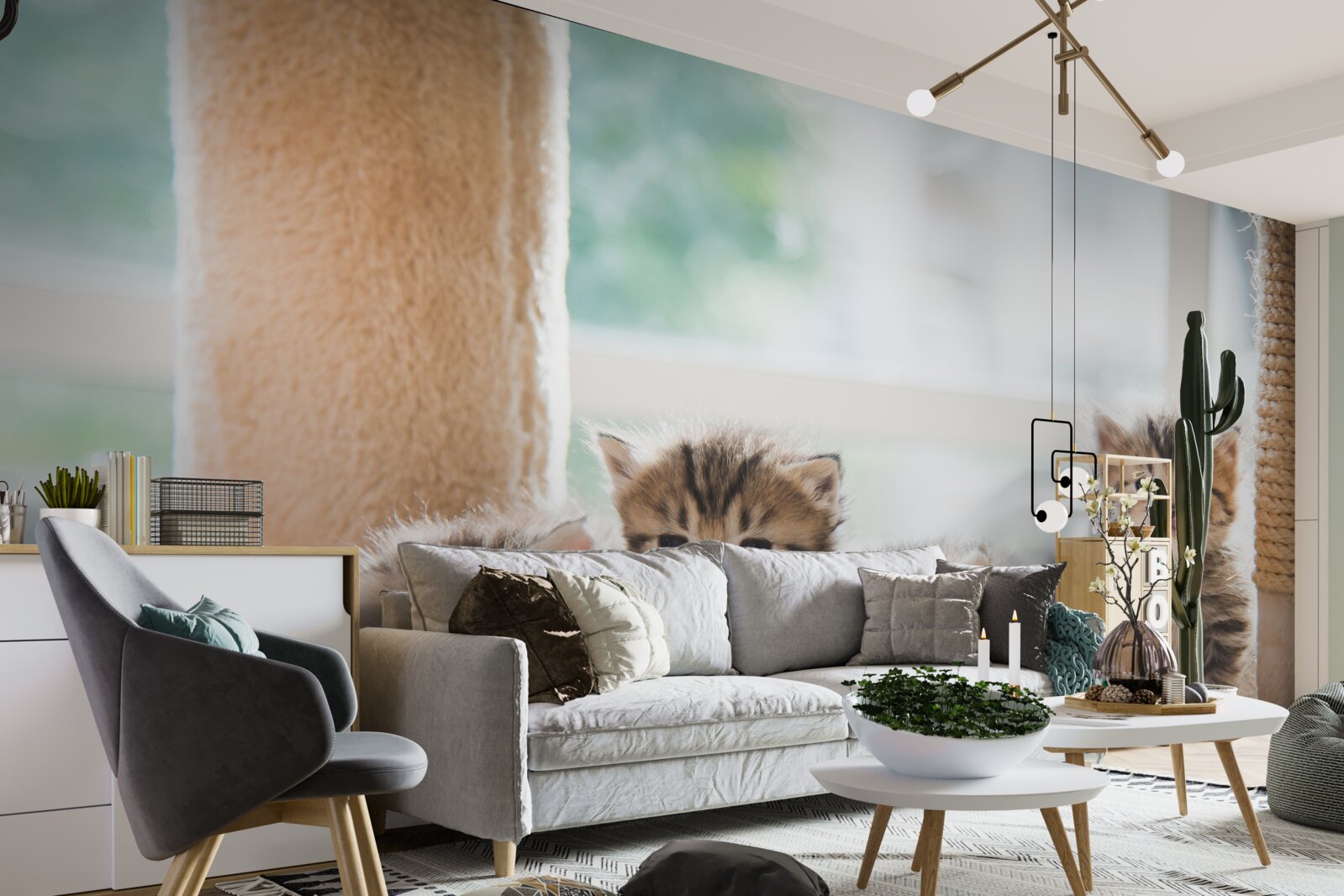 Fototapeta malé mačky hľadajú svoju matku