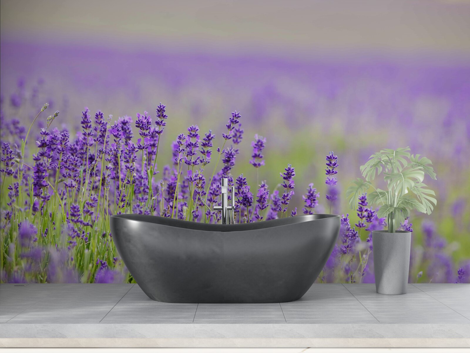 Fototapeta levanduľové polia