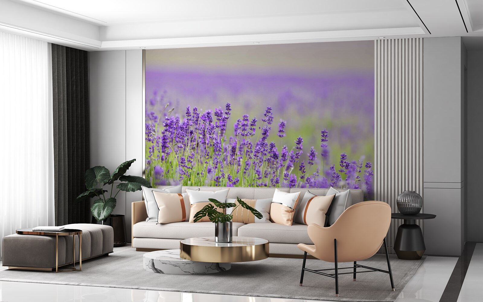 Fototapeta levanduľové polia