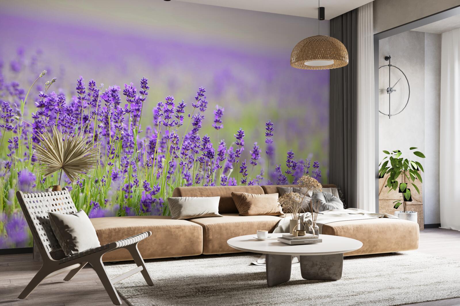 Fototapeta levanduľové polia