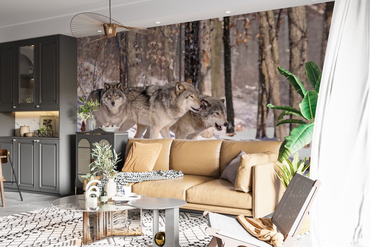 Fototapeta skupina vlkov kráča zimnou húštinou lesa