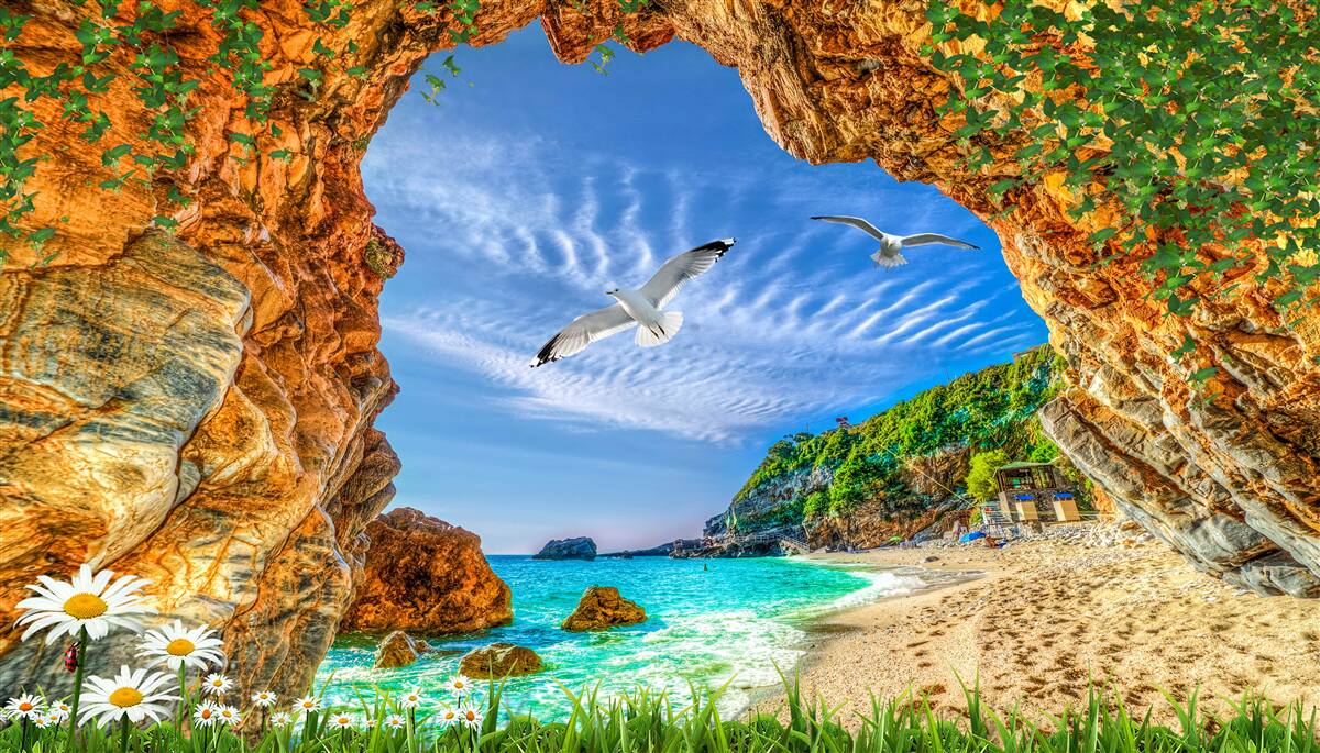 Fototapeta pohľad na oceán a let kaviek