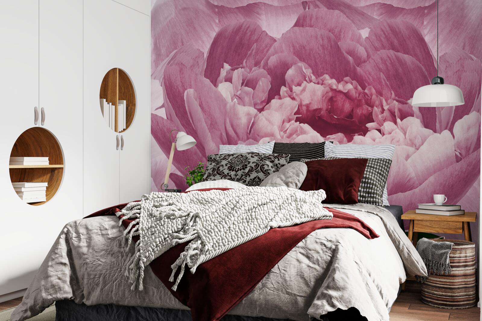 Fototapeta hojný kvet ružovej astry