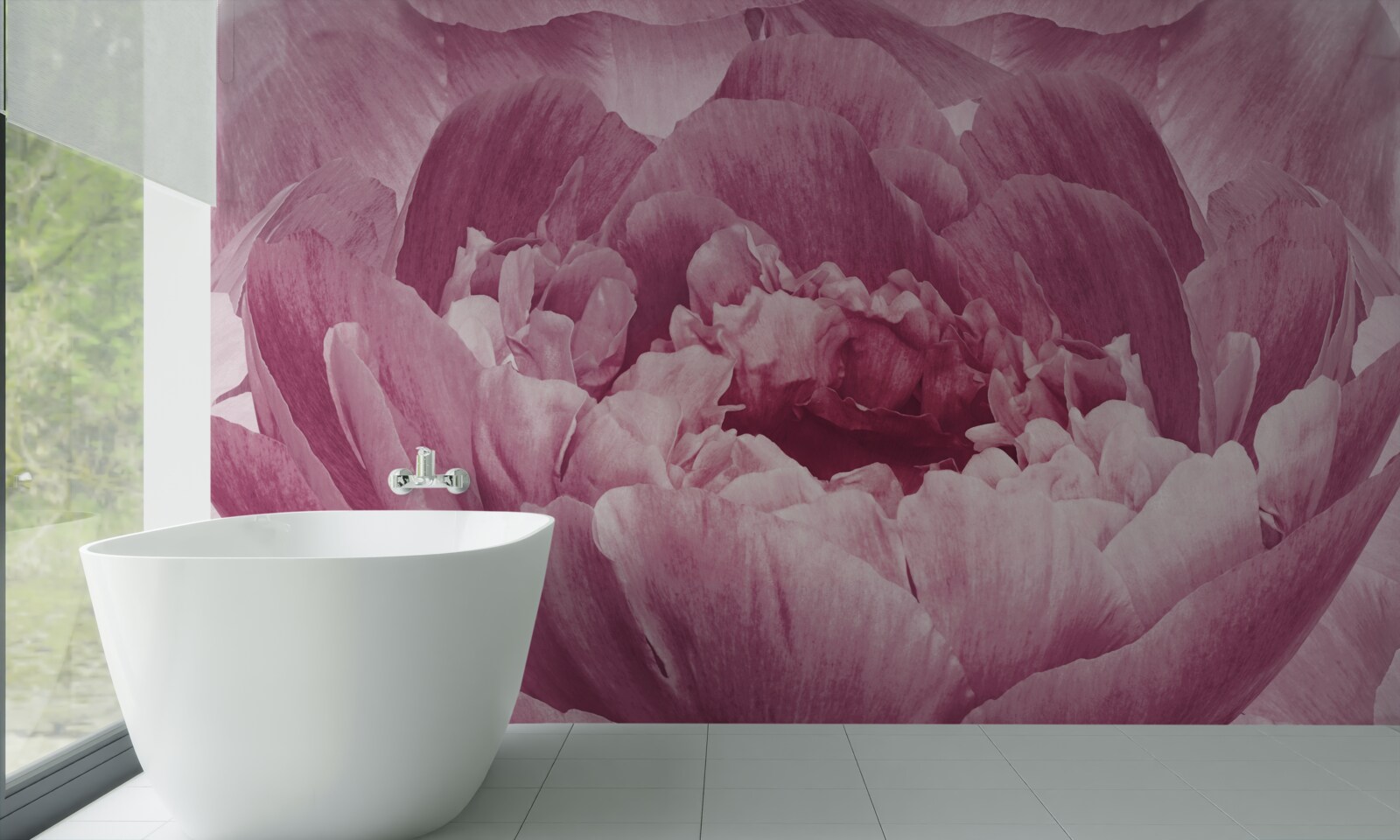 Fototapeta hojný kvet ružovej astry