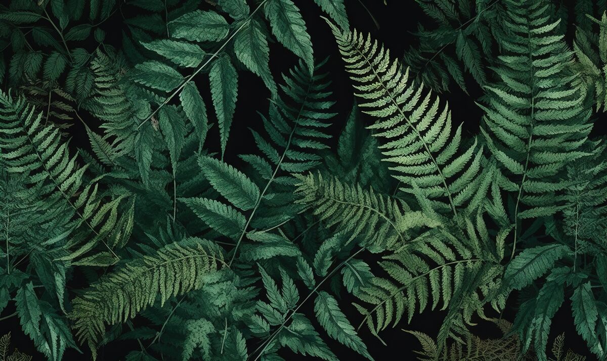 Fototapeta V noci sa okvetné lístky papradia ľahko kývajú