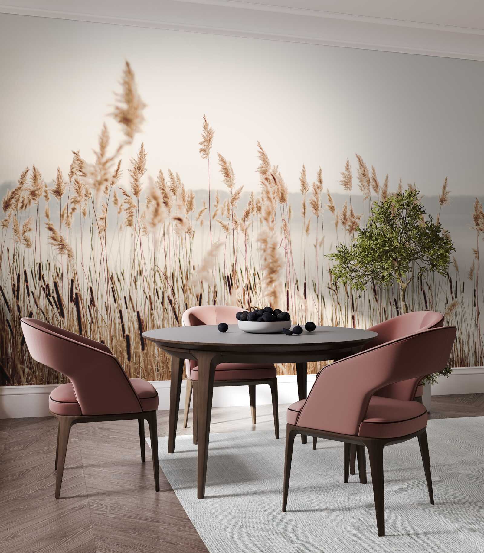 Fototapeta hmlisté rákosie na jeseň