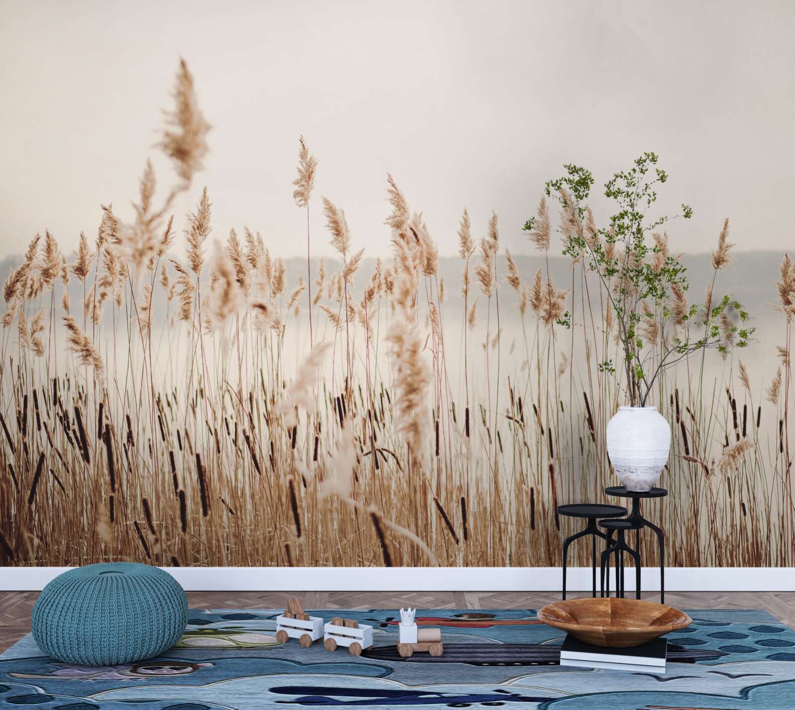 Fototapeta hmlisté rákosie na jeseň