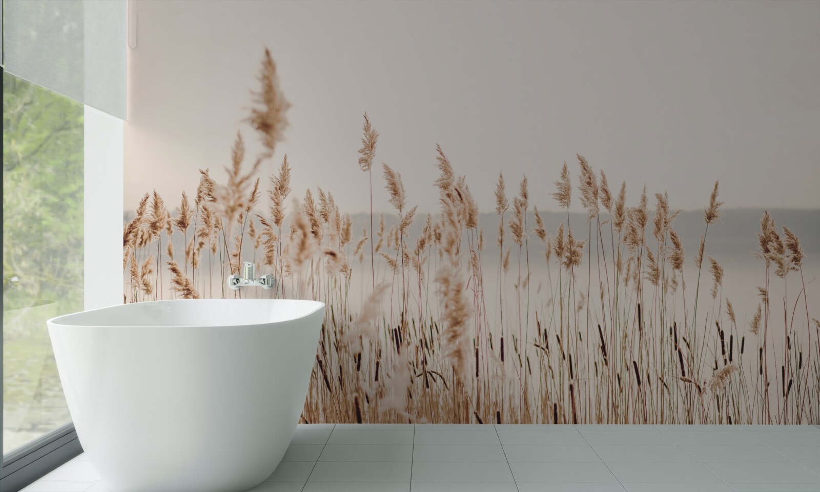 Fototapeta hmlisté rákosie na jeseň