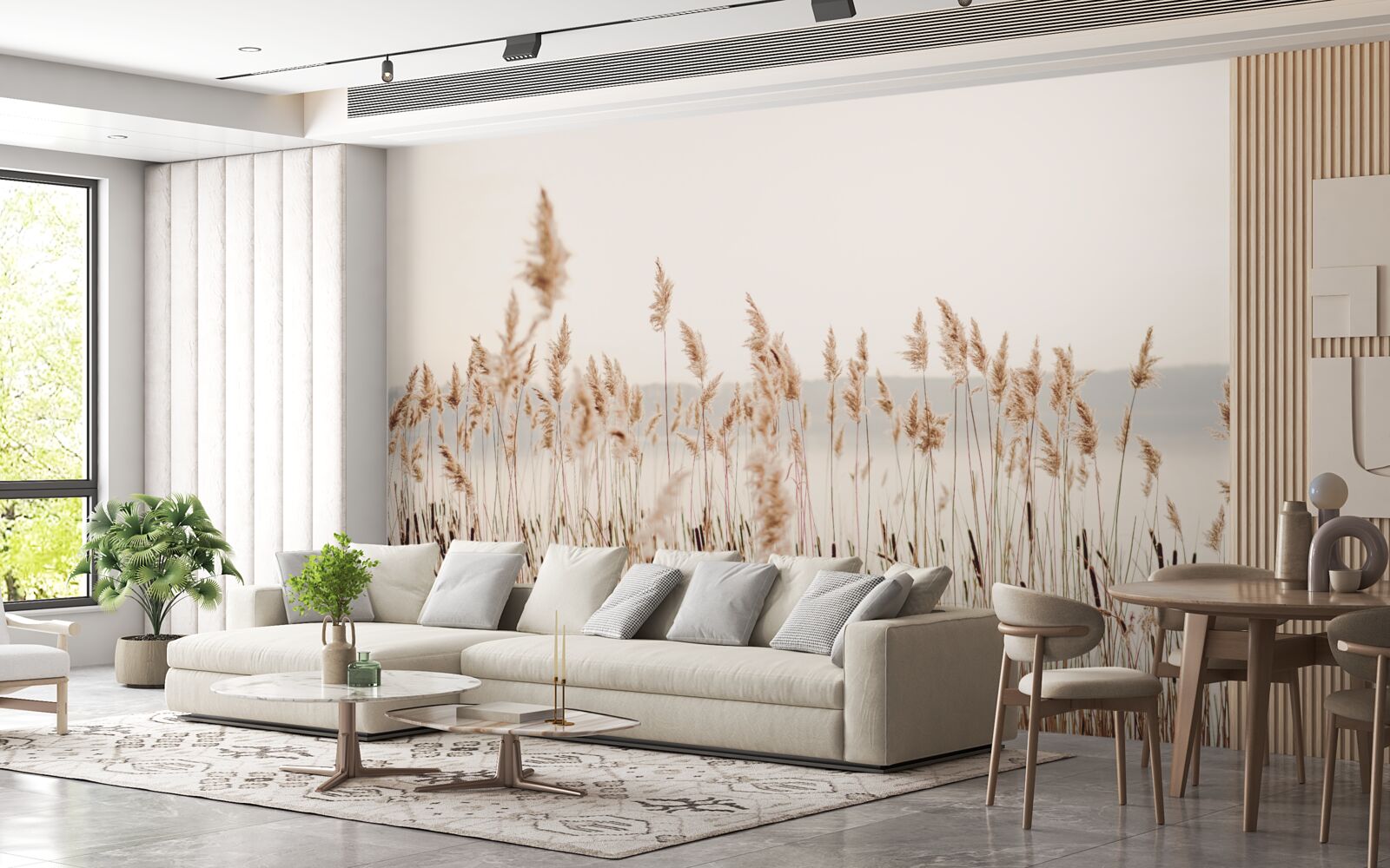 Fototapeta hmlisté rákosie na jeseň