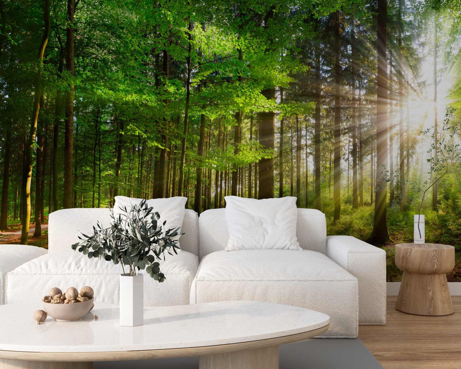 Fototapeta jasné slnko v lese pokryté zelenými listami