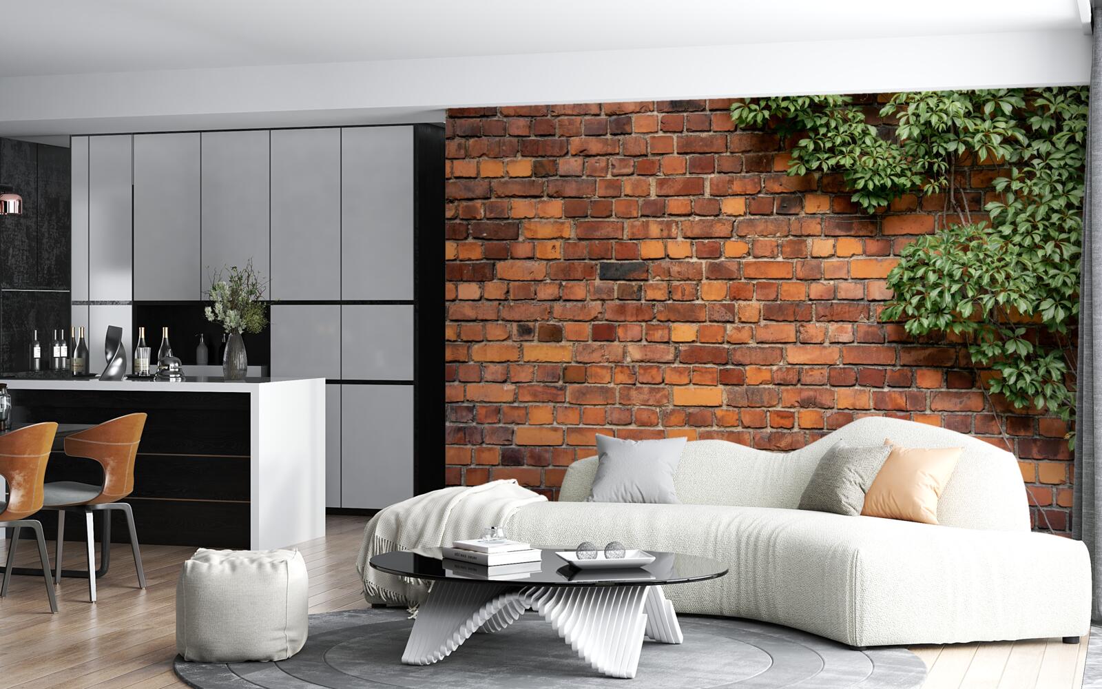 Fototapeta Múr je pochovaný zeleným brečtanom