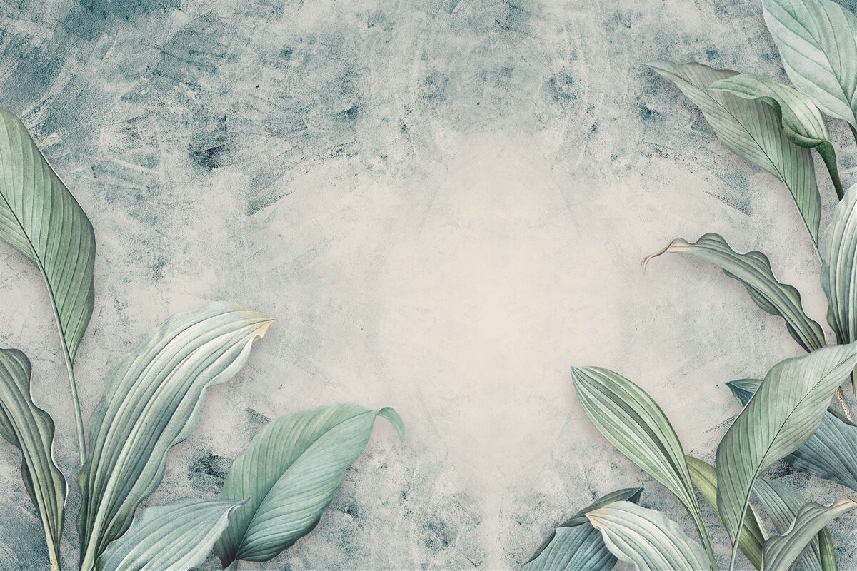 Fototapeta hmlistá hmla obklopuje tropické rastliny