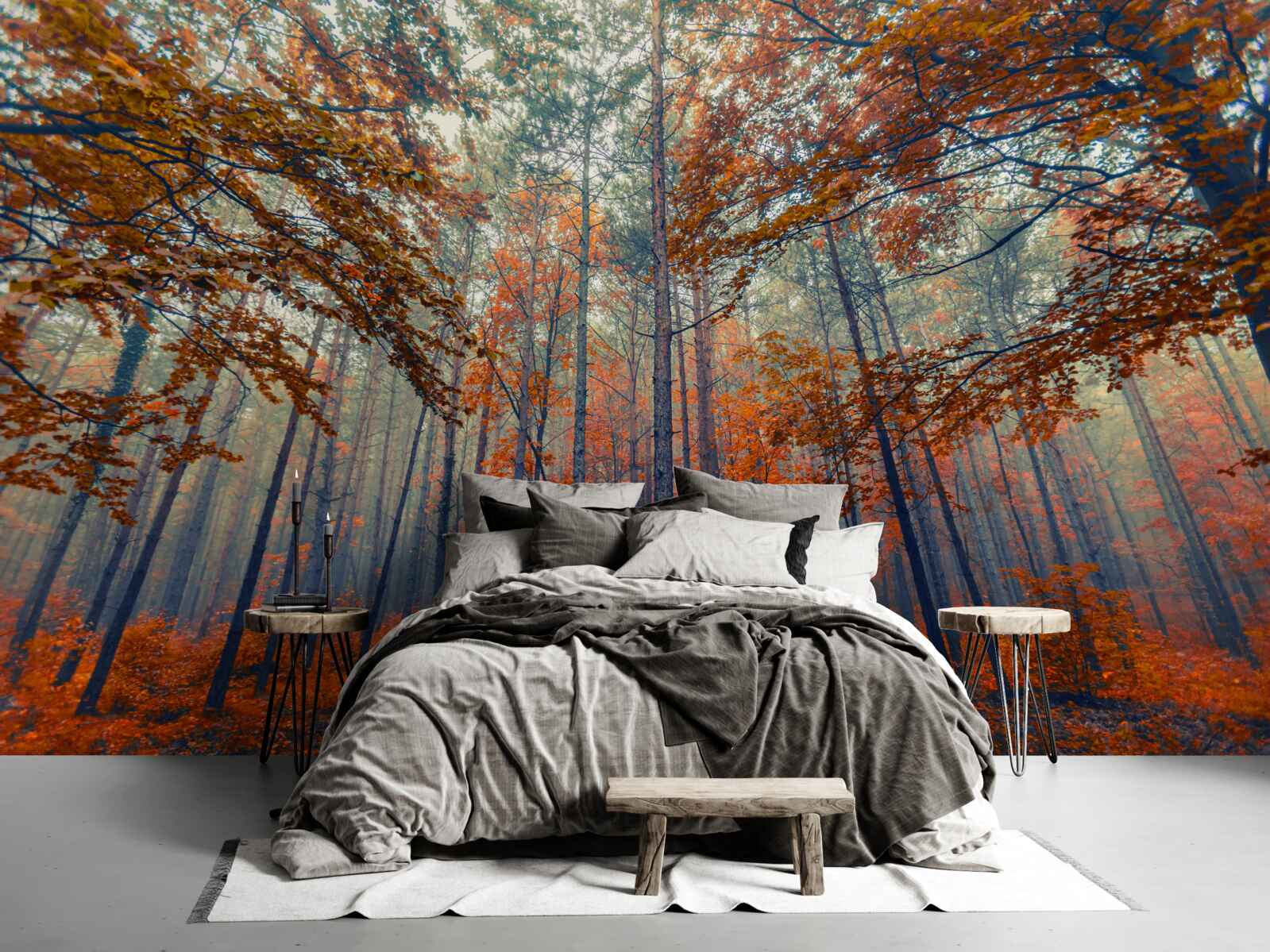 Fototapeta jesenné lesné lístie, ktoré opadlo