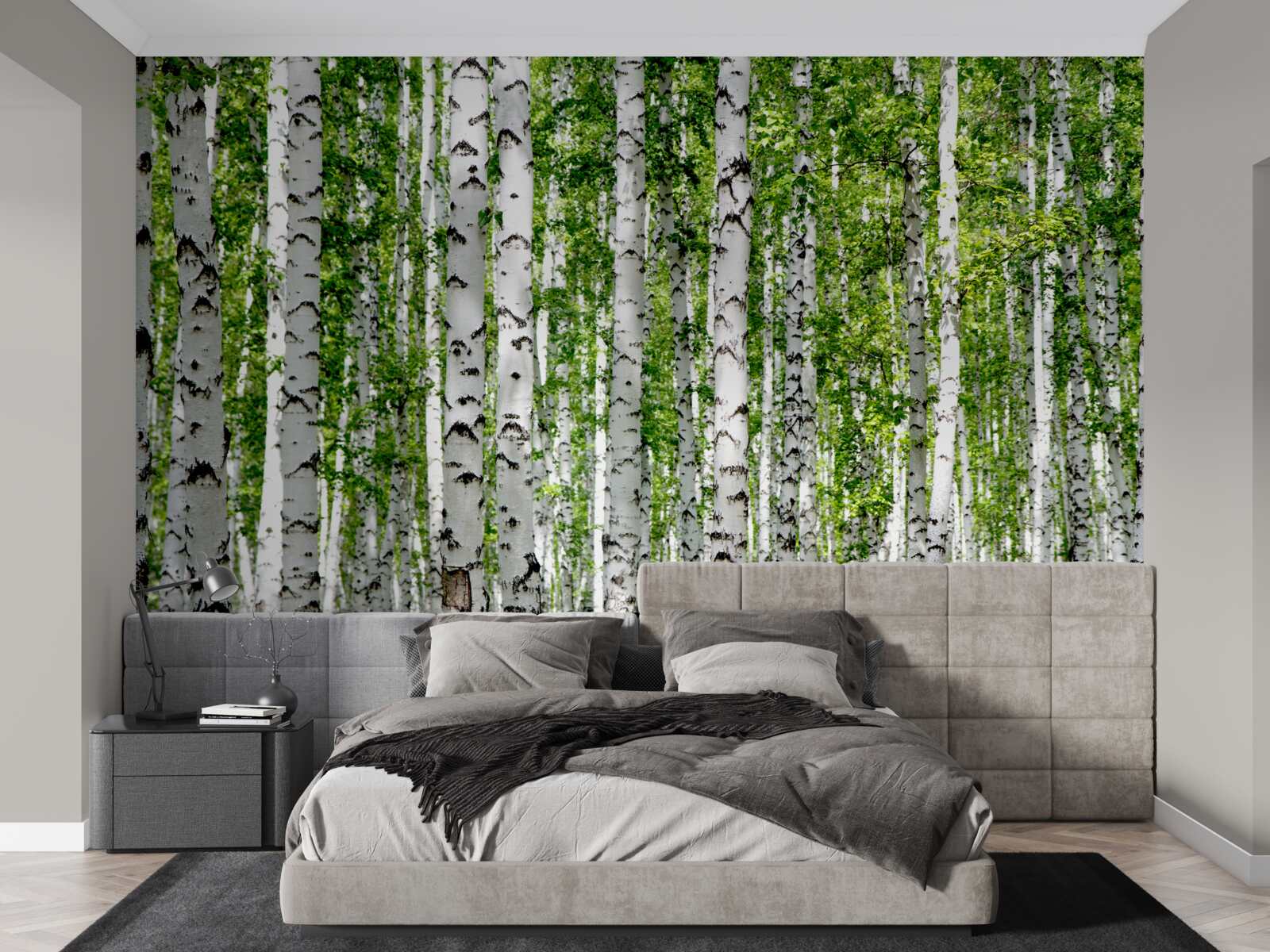 Fototapeta svetlé listy pôvabných brezov