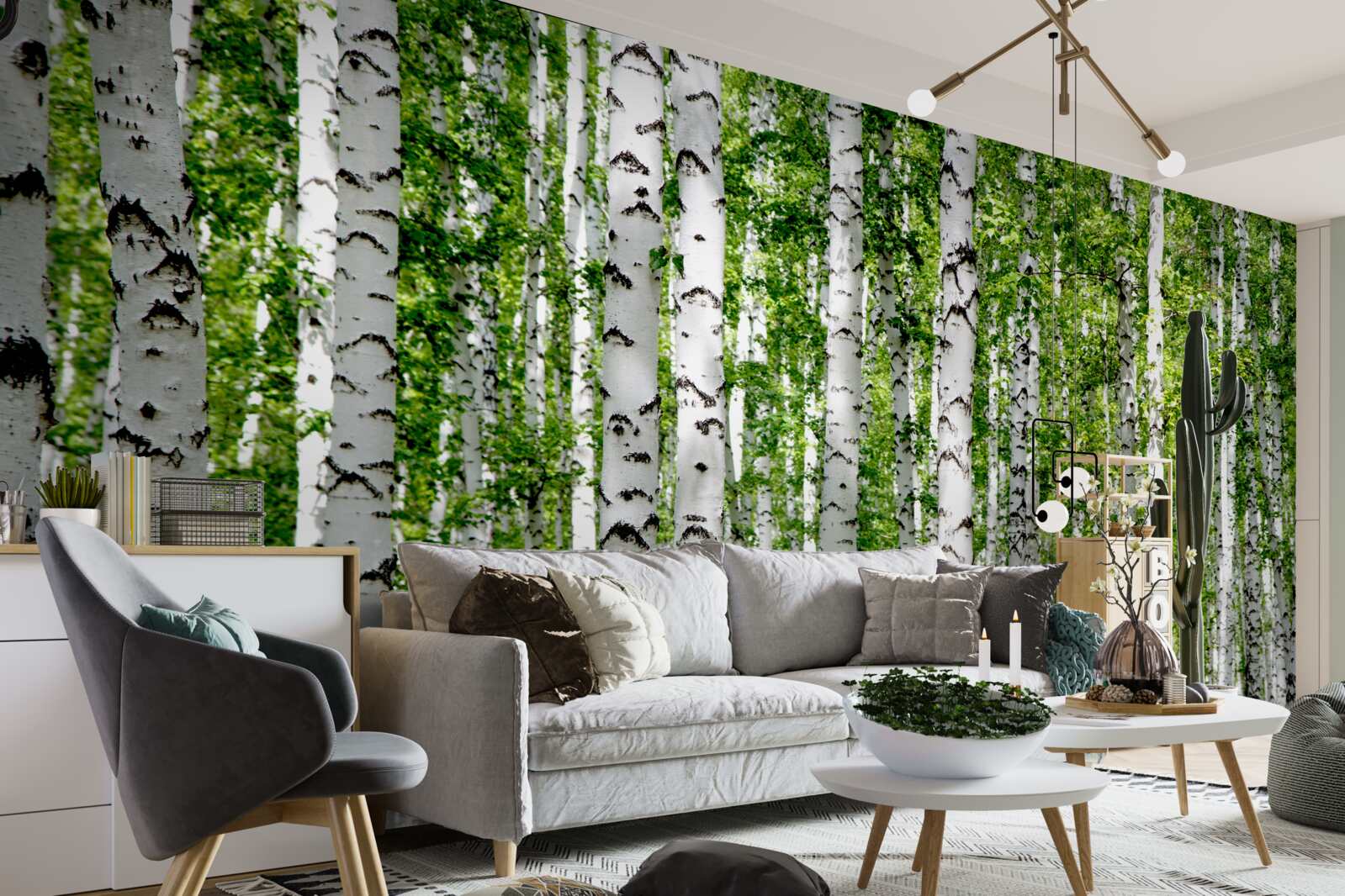 Fototapeta svetlé listy pôvabných brezov