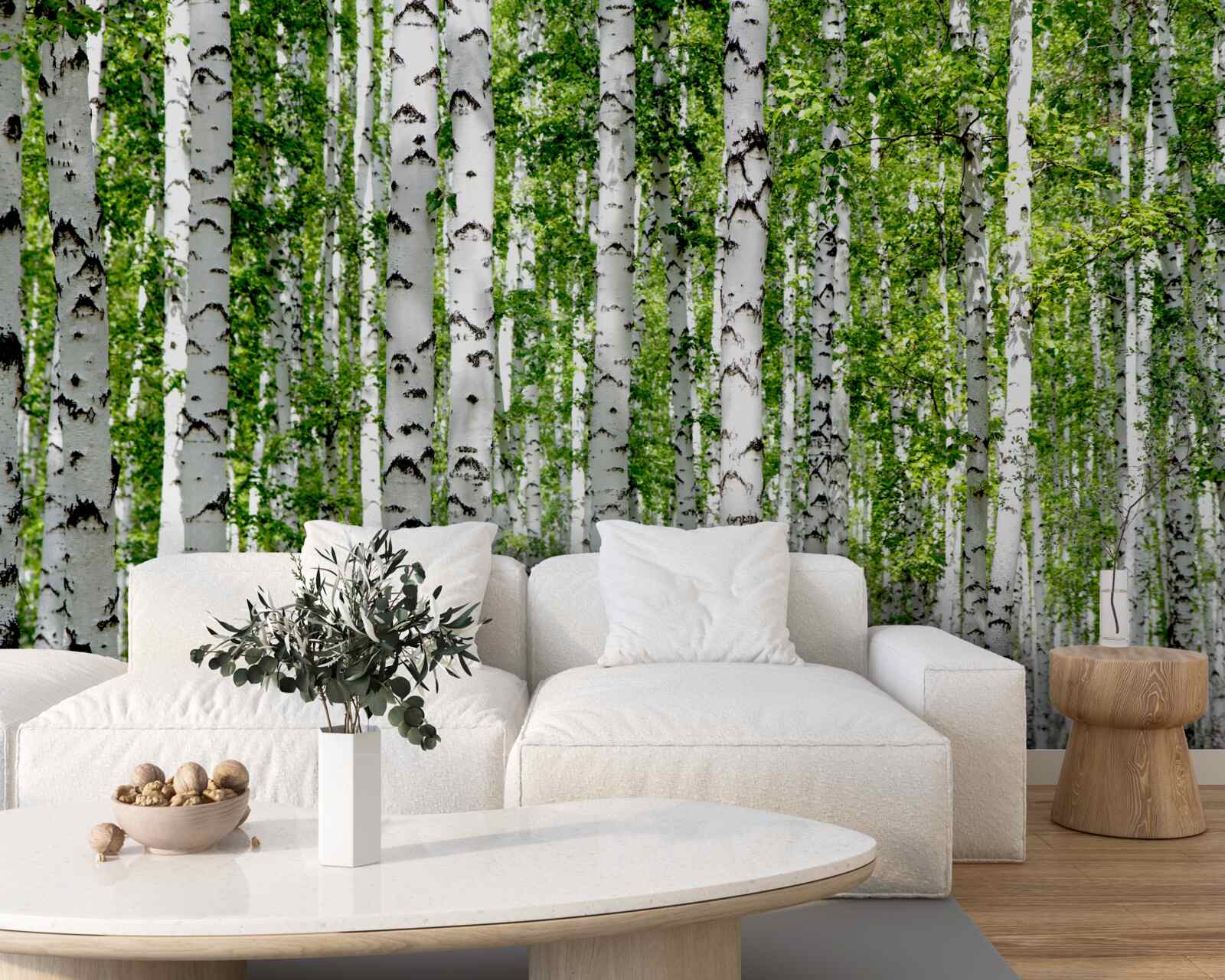 Fototapeta svetlé listy pôvabných brezov