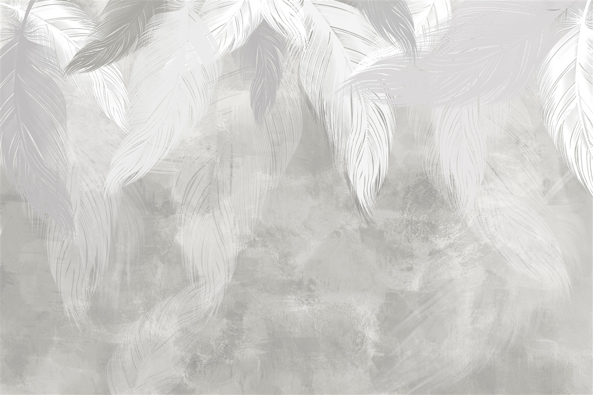 Fototapeta ráno v dažďovom pralese, zahalené v hmle