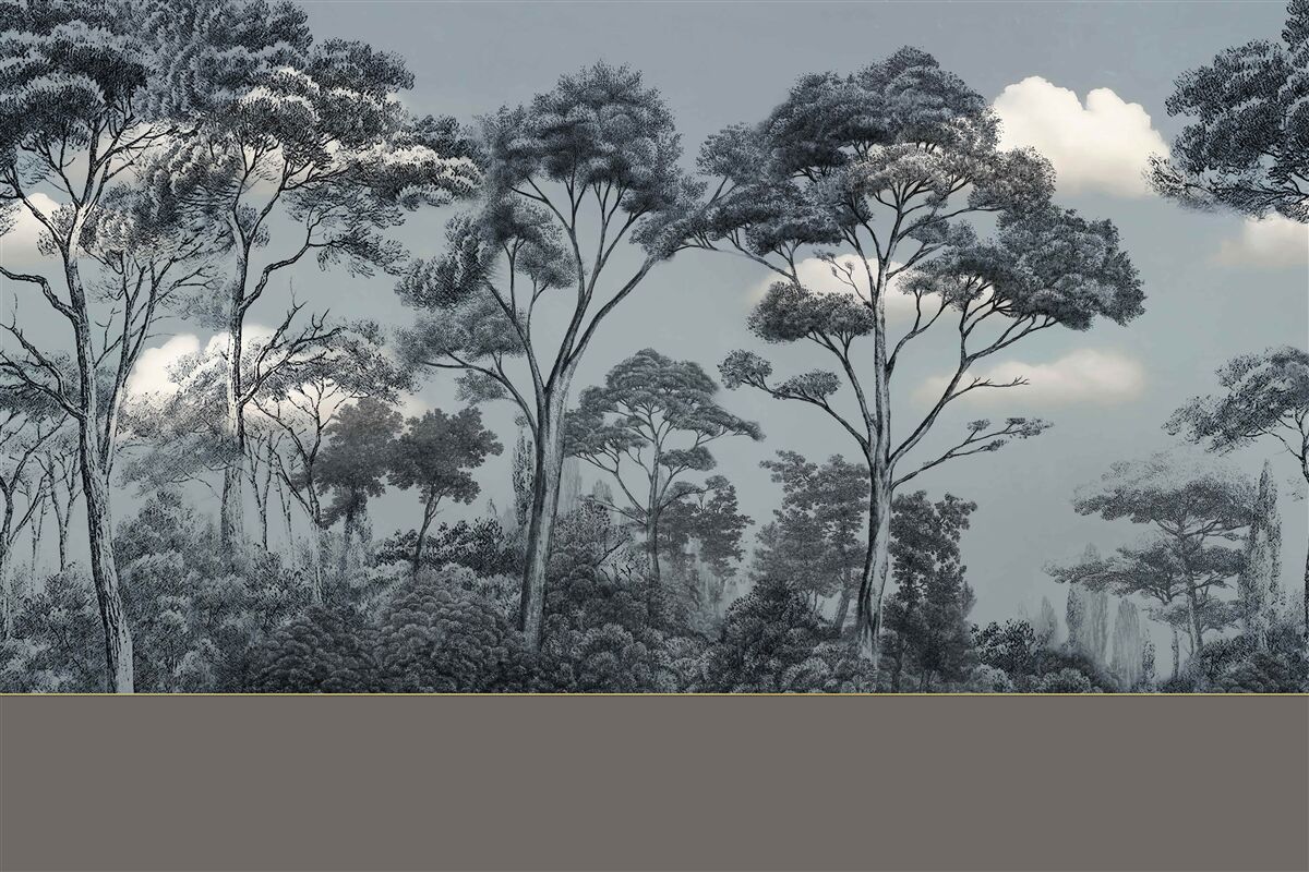 Fototapeta les sa ponorí do nadchádzajúcej noci