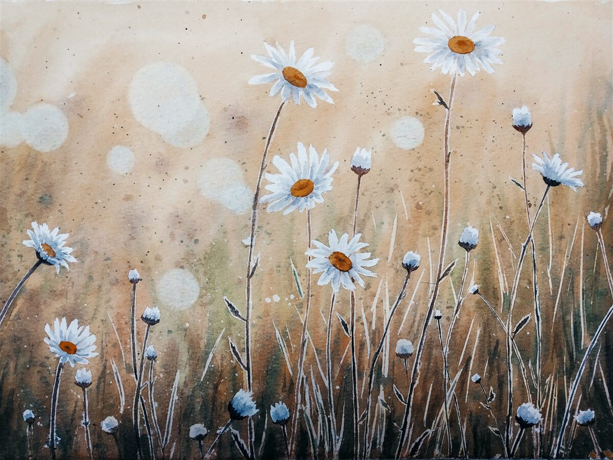 Fototapeta ako modelové sedmokrásky v lejaku letného dažďa