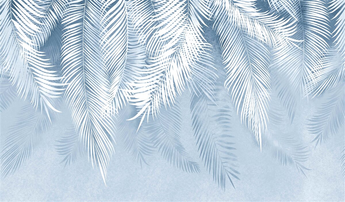 Fototapeta listy paprade smerujúce nadol