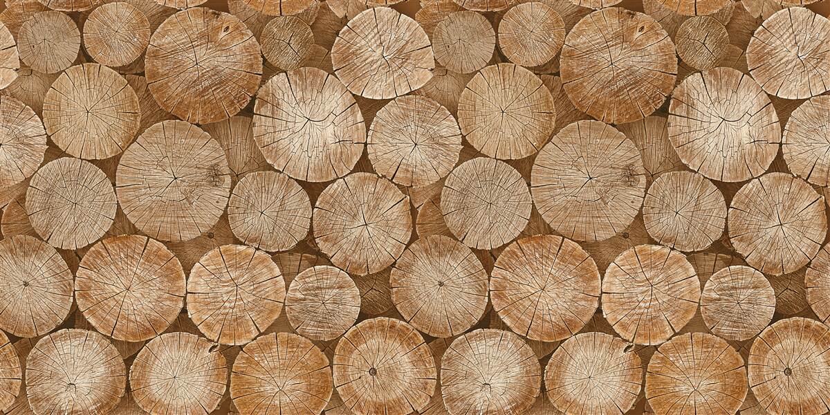 Fototapeta hromada nazbieraného palivového dreva