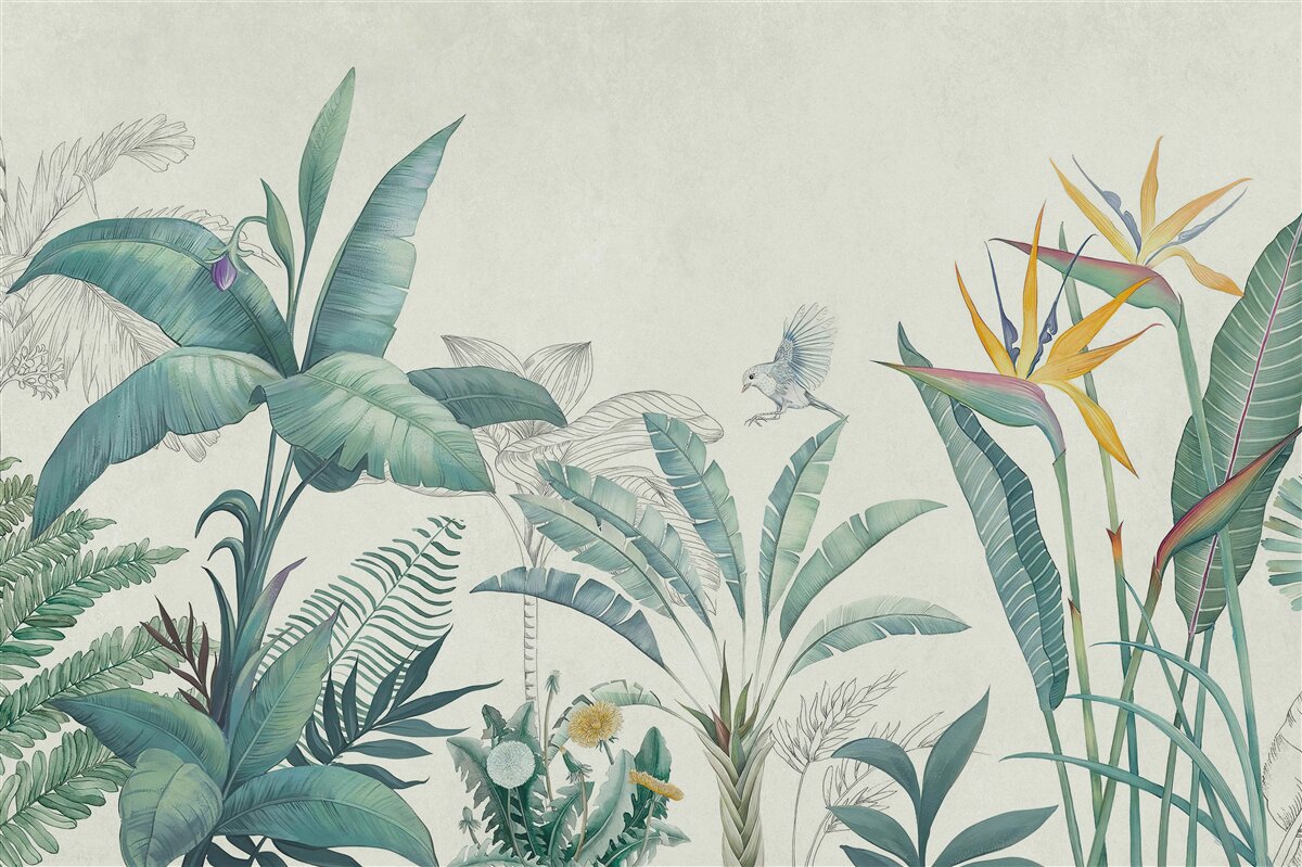 Fototapeta zelená flóra džungle