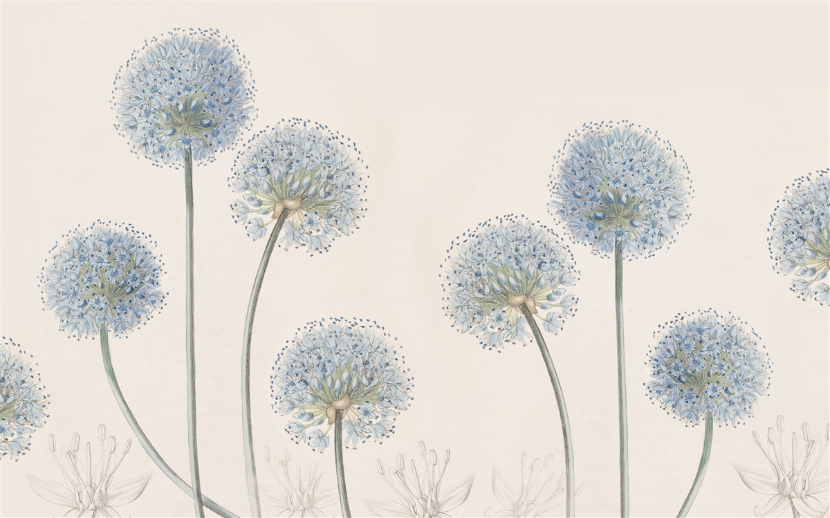 Fototapeta vrcholky pôvabných agávových stromov