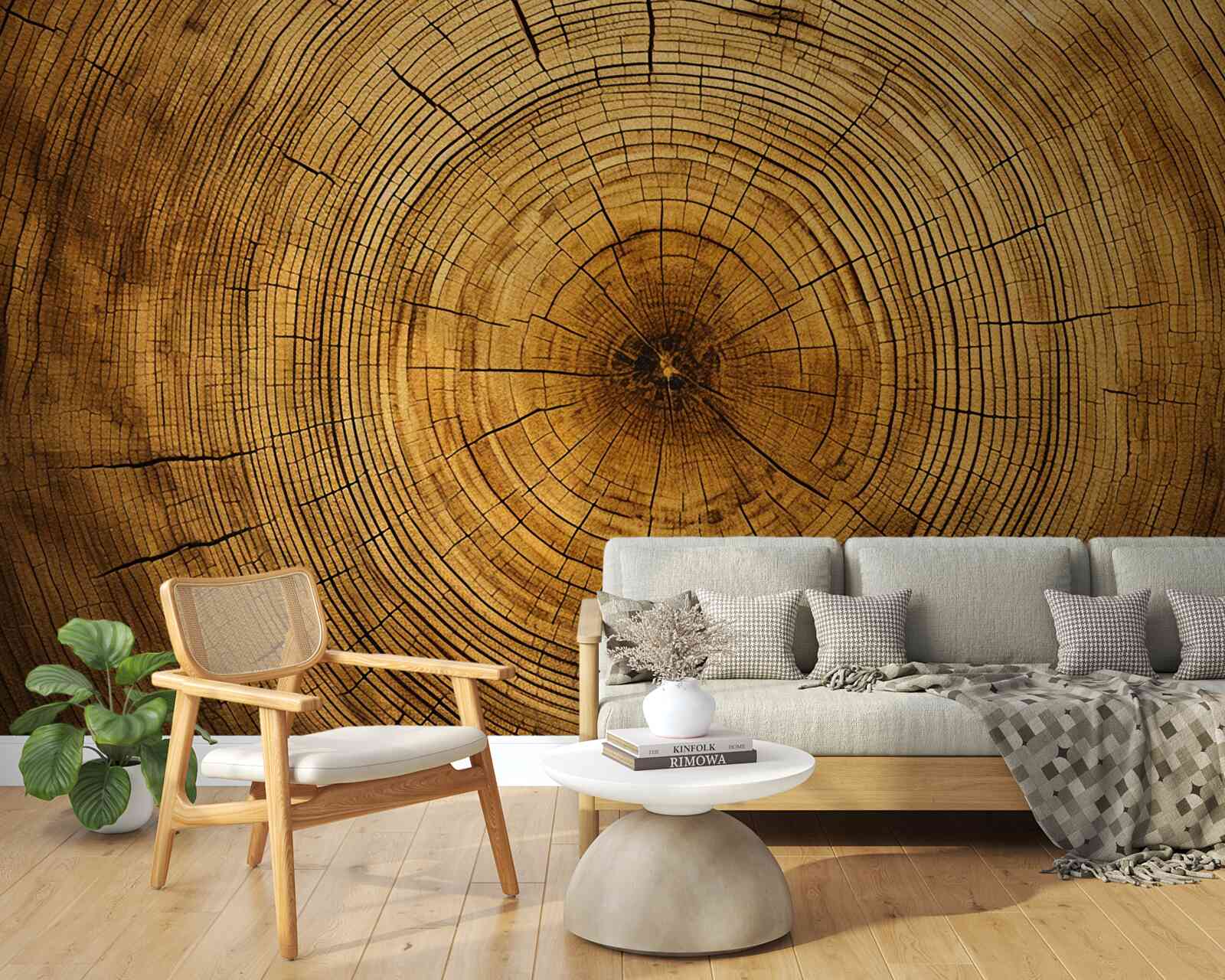 Fototapeta fragmenty stĺpa stromu bohatého na stáročné vrstvy