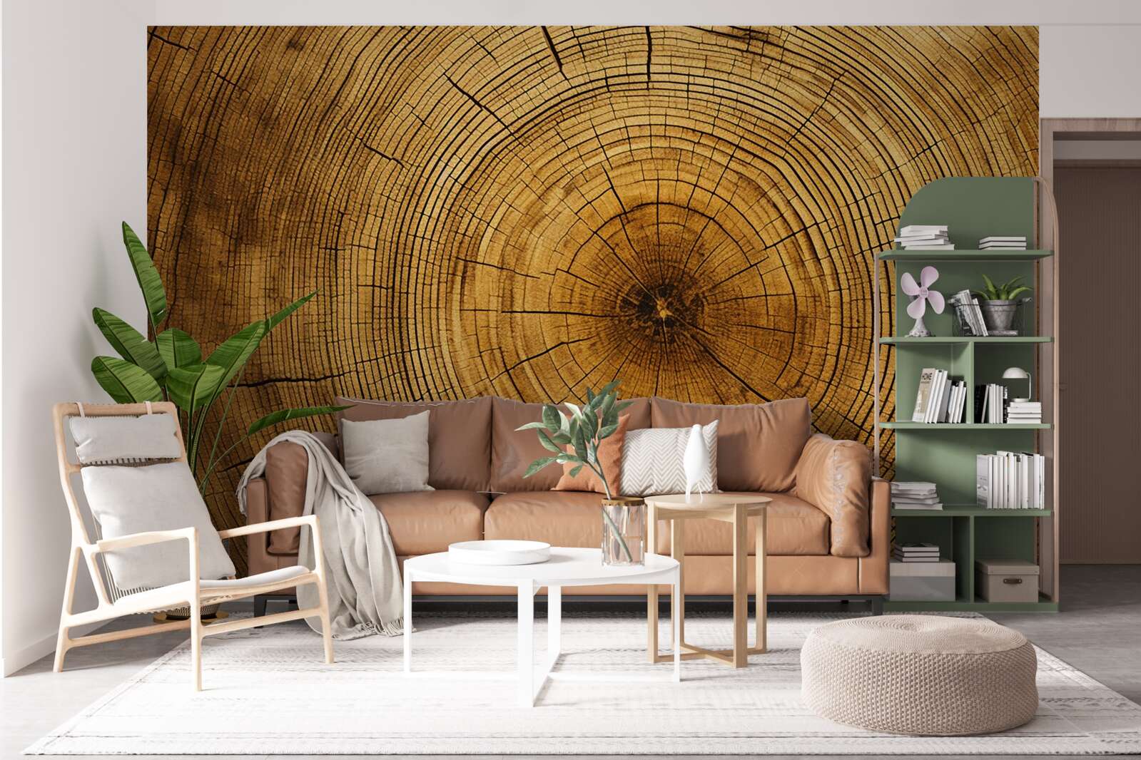 Fototapeta fragmenty stĺpa stromu bohatého na stáročné vrstvy