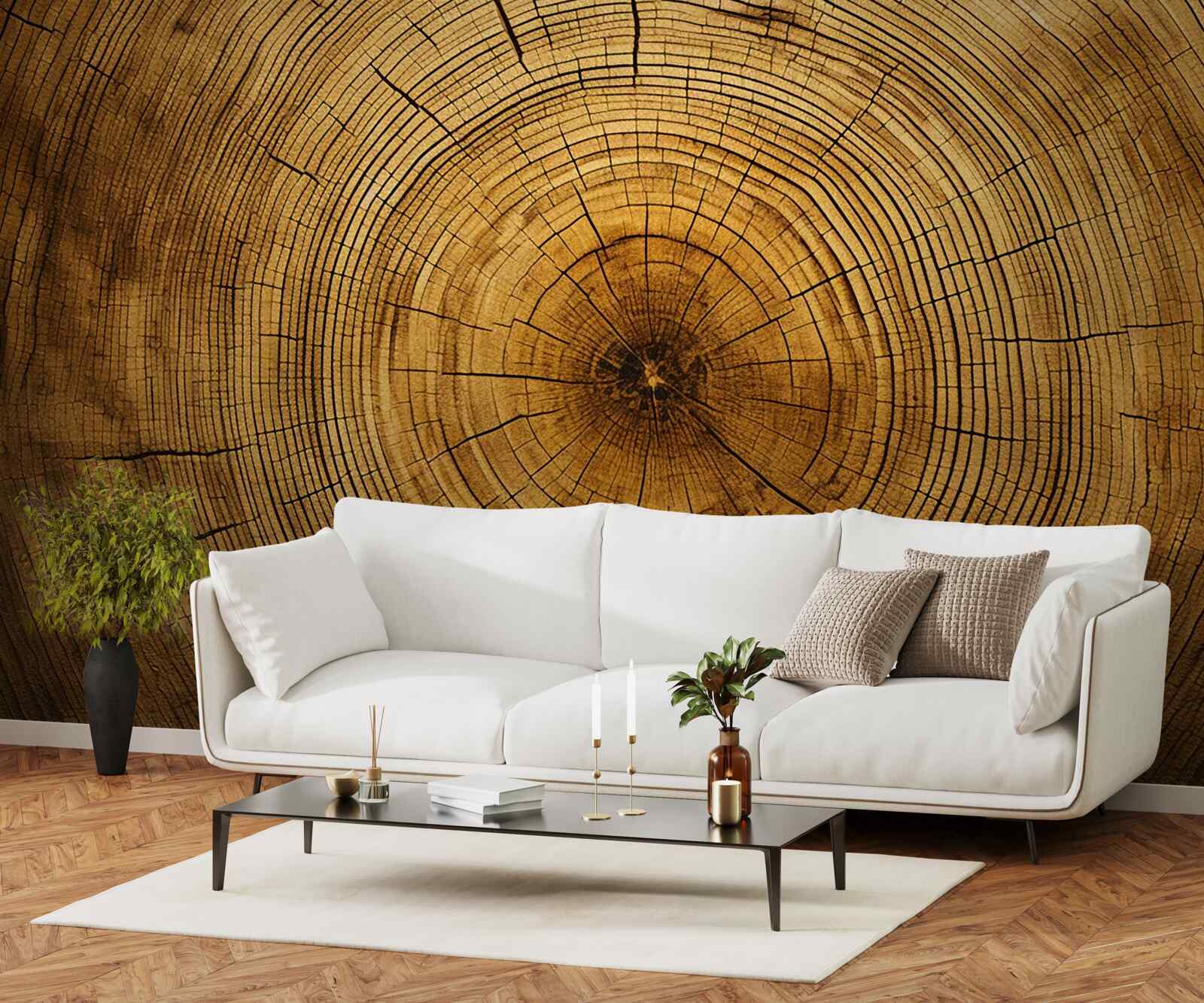 Fototapeta fragmenty stĺpa stromu bohatého na stáročné vrstvy