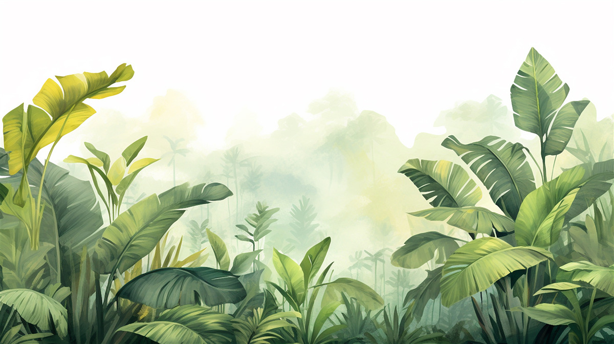 Fototapeta Svitanie v tropickom lese