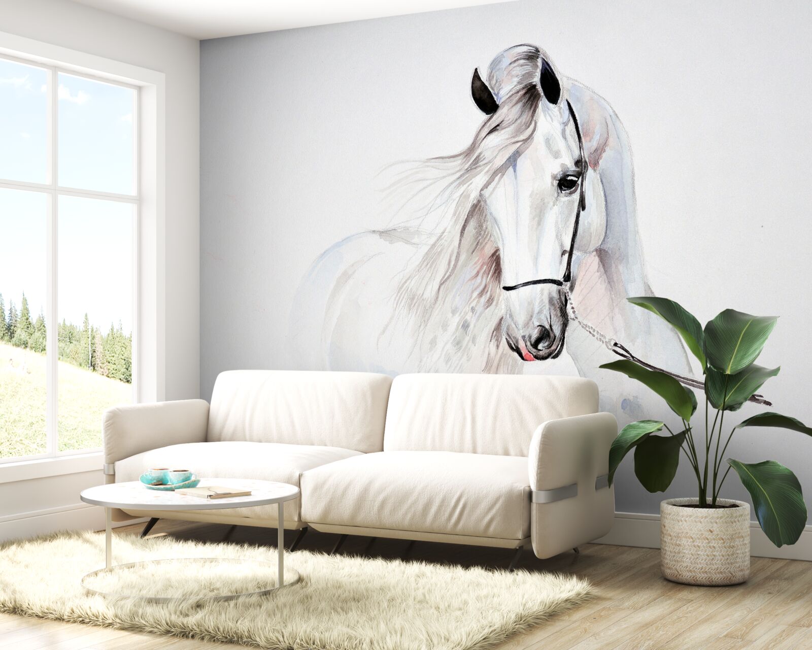 Fototapeta biely ťažný kôň