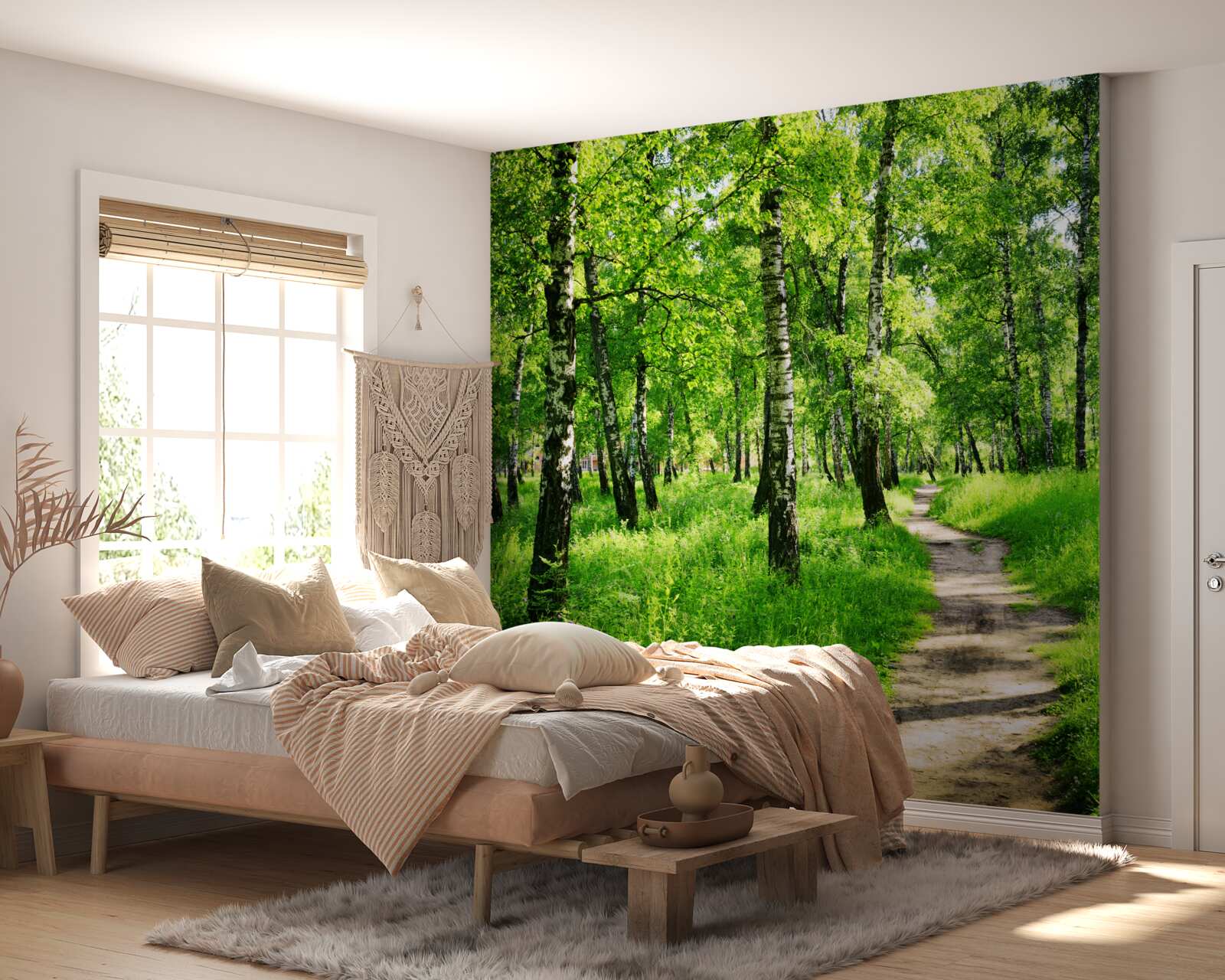 Fototapeta Cesta cez brezový háj