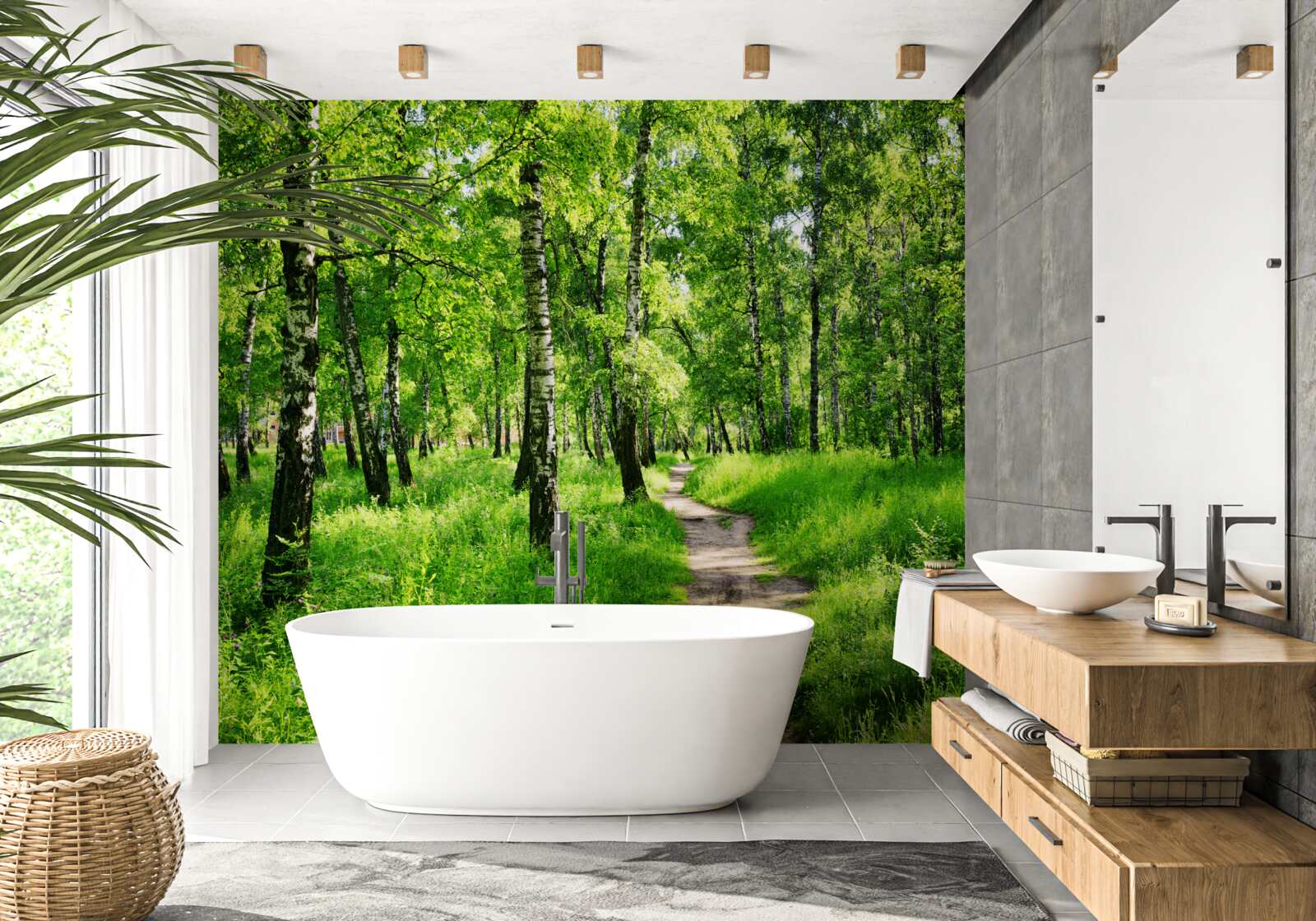 Fototapeta Cesta cez brezový háj