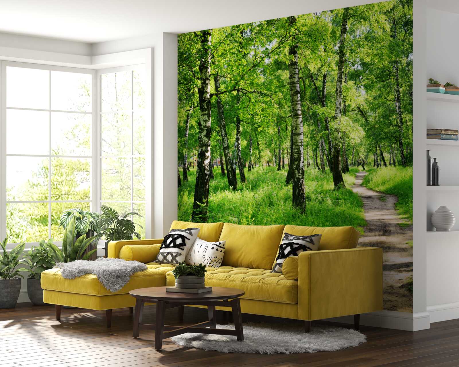 Fototapeta Cesta cez brezový háj