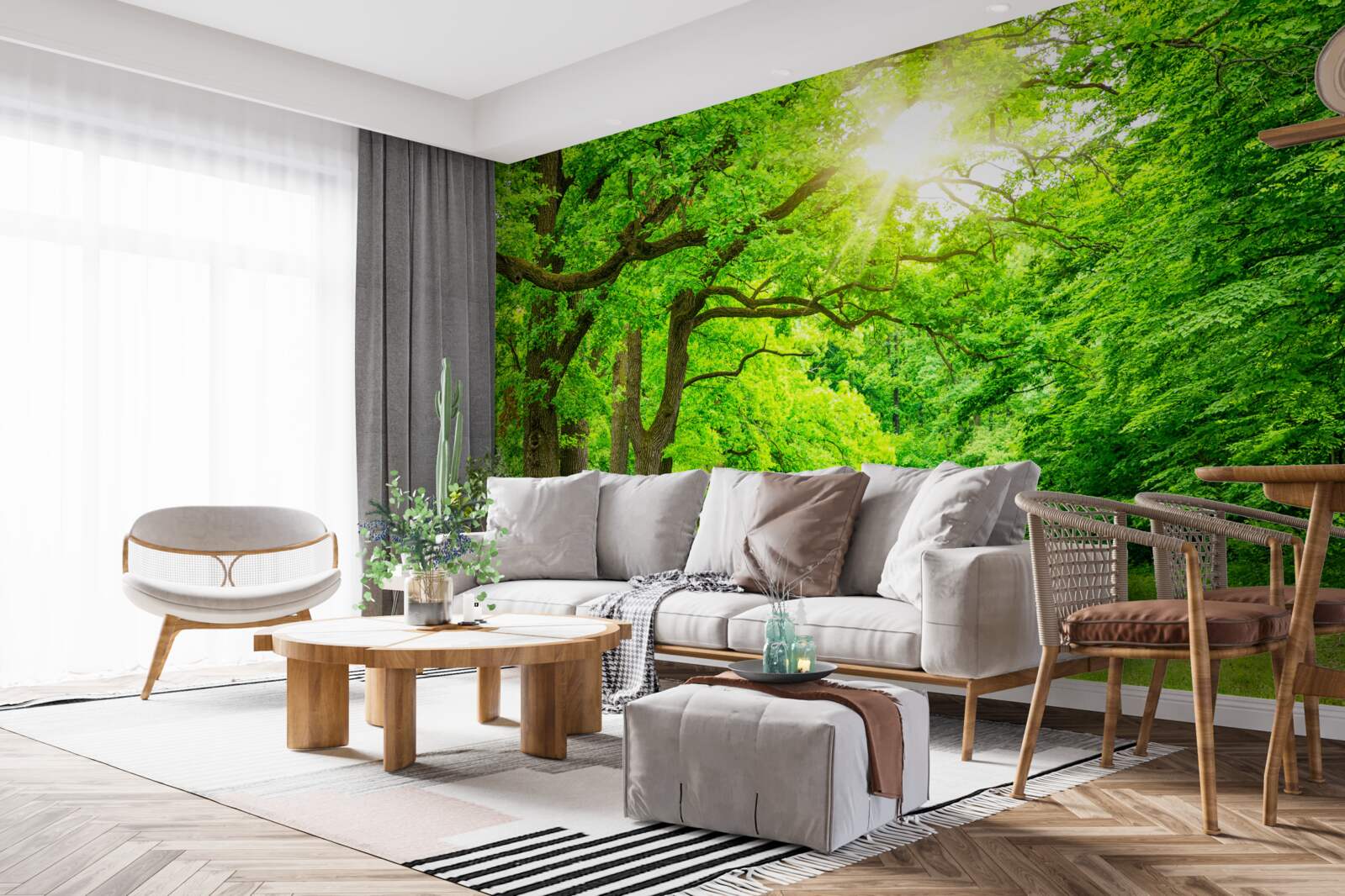 Fototapeta malebná krajina letného lesa