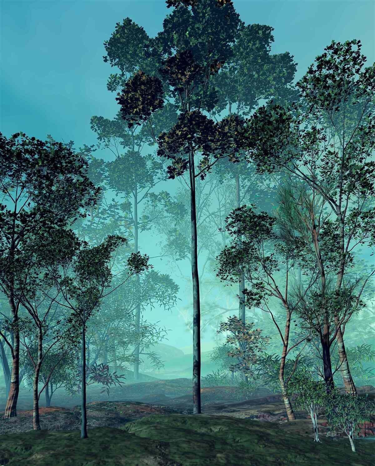 Fototapeta čarovný les zahalený v hustej hmle