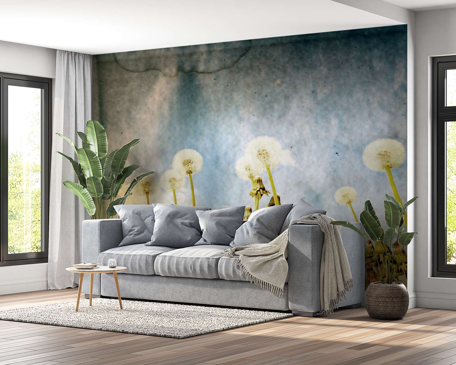 Fototapeta západ slnka vítajú pôvabné púpavy