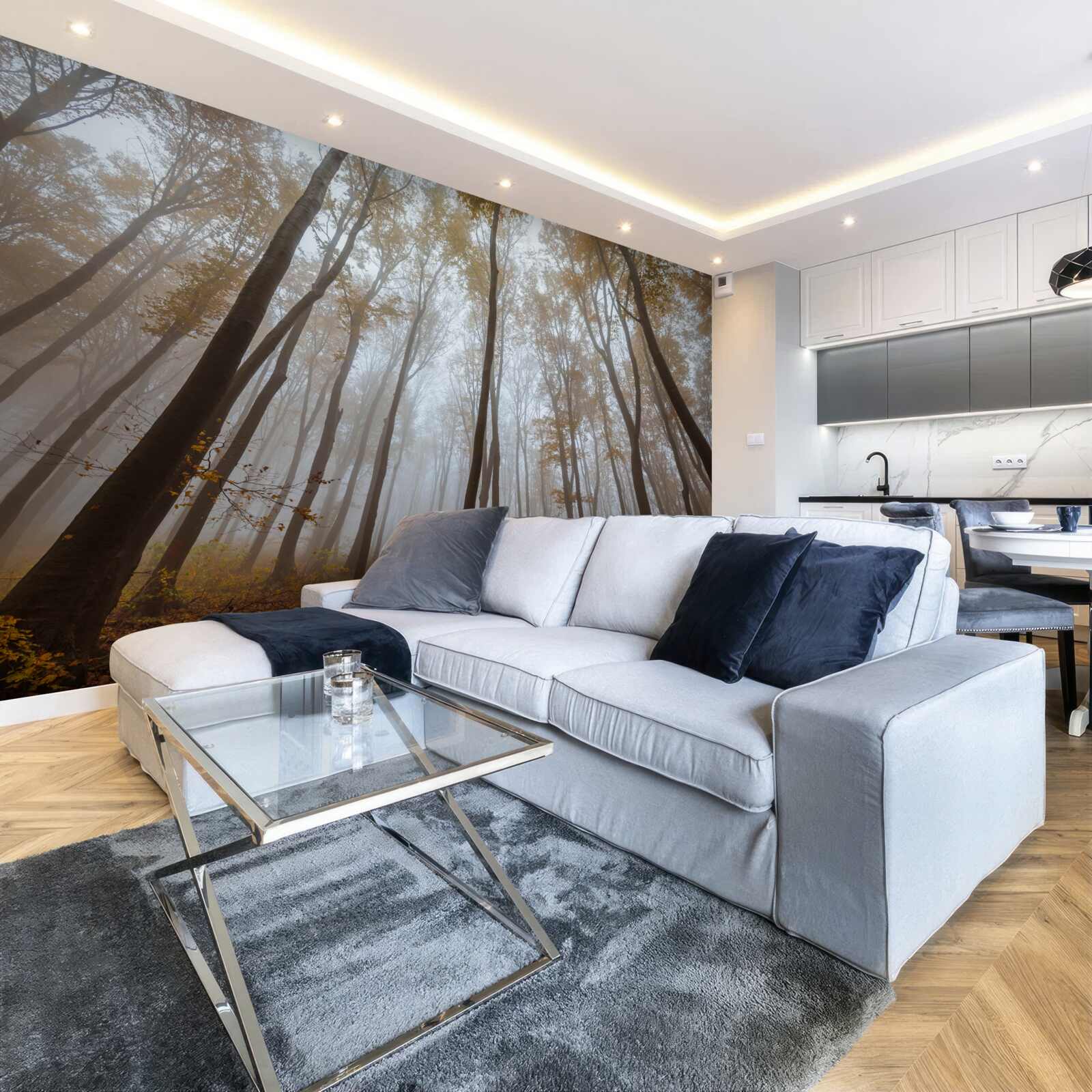 Fototapeta štíhle, vysoké stromy na jeseň