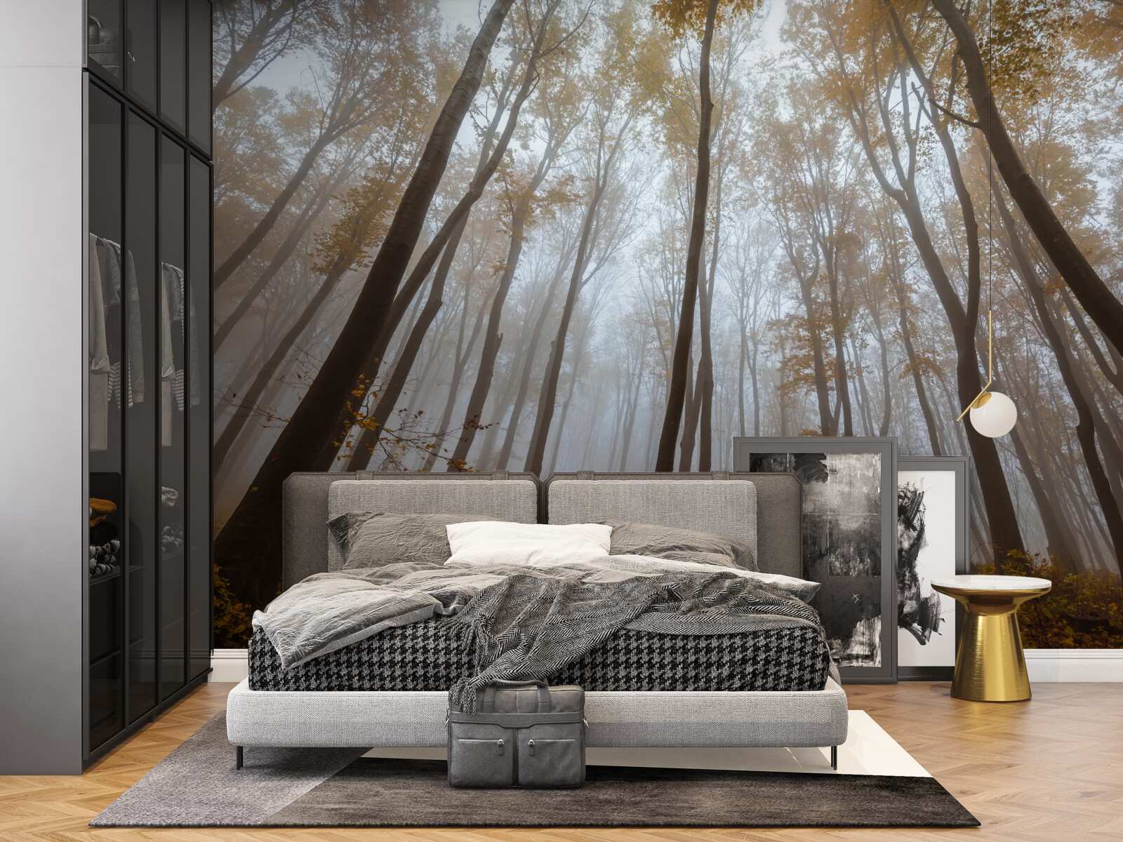 Fototapeta štíhle, vysoké stromy na jeseň